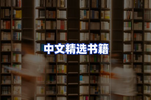 中文精选书籍